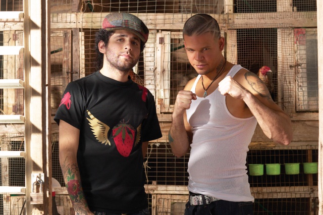 Calle 13