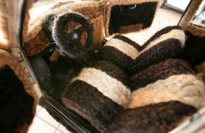 El auto más peludo del mundo El auto más peludo del mundo