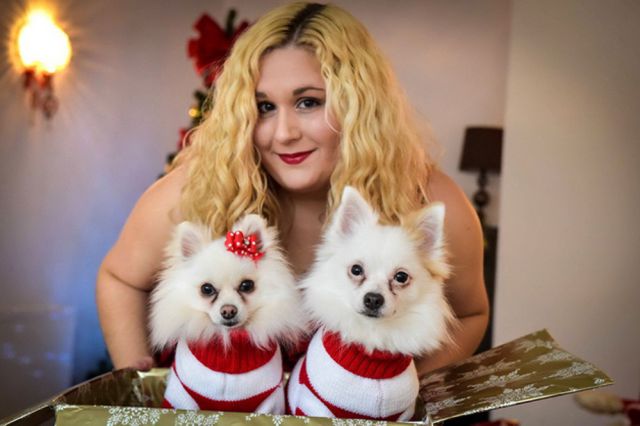 Perros llenos de lujos Perros llenos de lujos