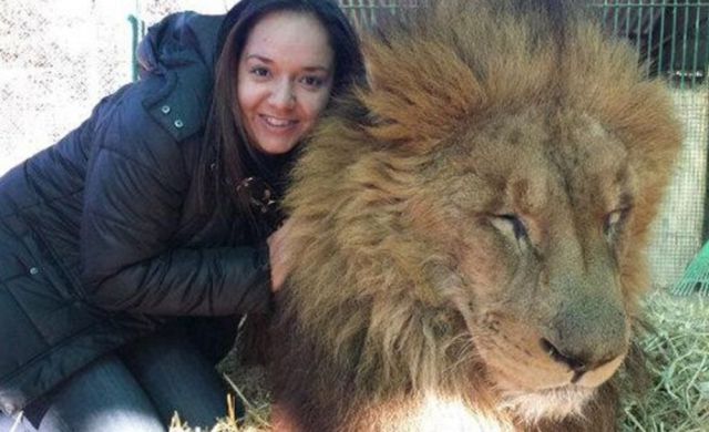 Selfies con Leones Selfies con Leones