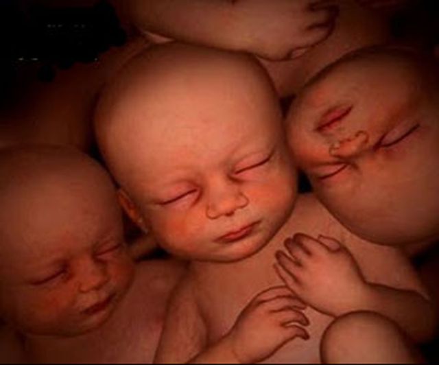 ¡Da a luz a 3 bebés! ¡Da a luz a 3 bebés!