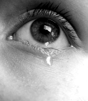 Crean habitación solo para llorar Crean habitación solo para llorar