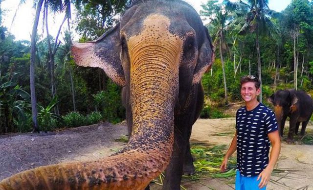 Un elefante le roba el móvil y hace un selfie viral. Un elefante le roba el móvil y hace un selfie viral.