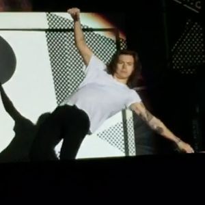 Harry Styles otro famoso que toca el piso en pleno concierto Harry Styles otro famoso que toca el piso en pleno concierto