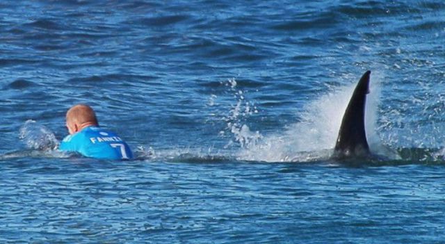 Surfista fue atacado por dos tiburones durante un torneo Surfista fue atacado por dos tiburones durante un torneo