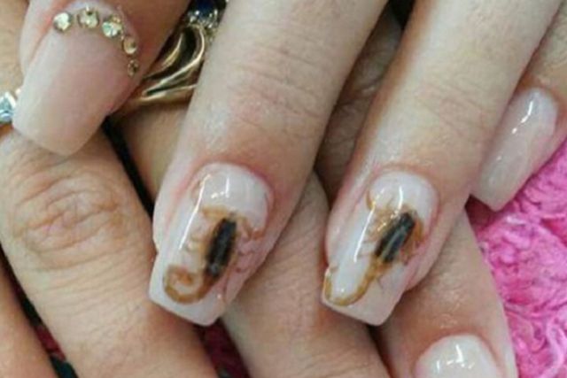 ¿Uñas con alacranes? What? ¿Uñas con alacranes? What?