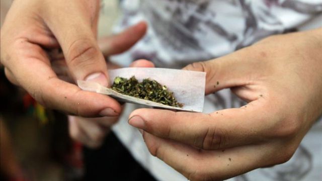 La marihuana legal La marihuana legal