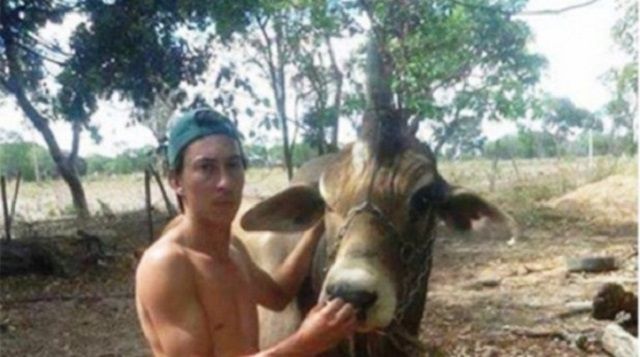 ¿Te imaginas a un toro con un solo cuerno? ¿Te imaginas a un toro con un solo cuerno?