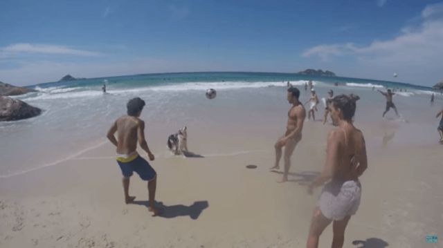 Mira como éste perro domina el balón Mira como éste perro domina el balón