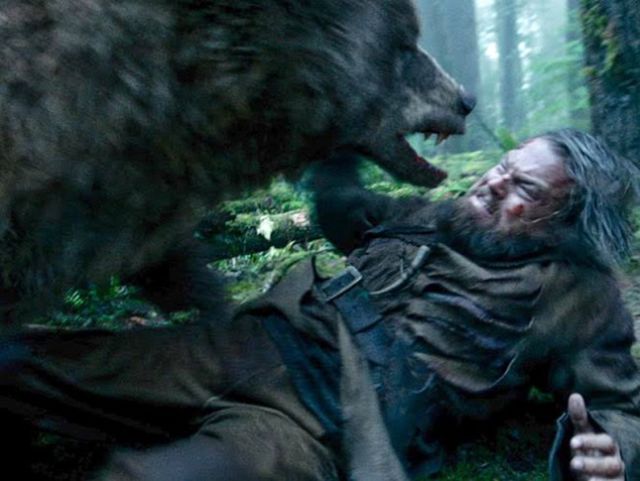 Así es como podrían sobrevivir al ataque de un oso Así es como podrían sobrevivir al ataque de un oso
