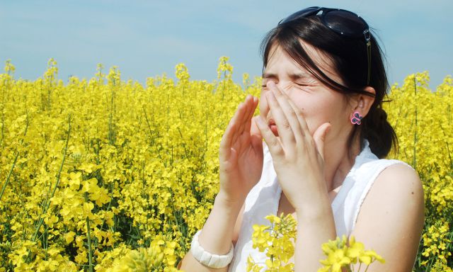Llegó la primavera y con ella... ¡Alergias! Llegó la primavera y con ella... ¡Alergias!