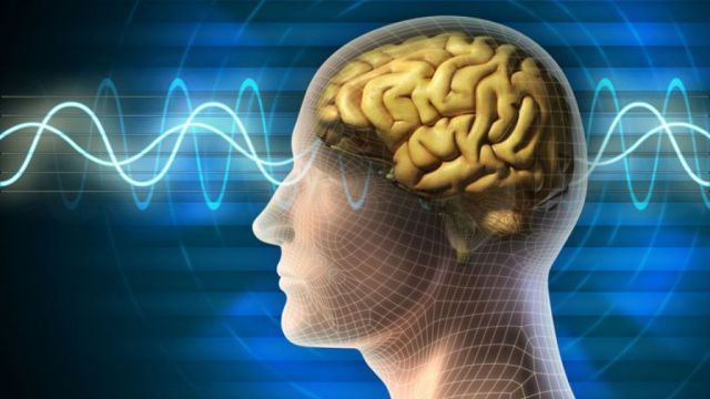 Una Pastilla para incrementar la inteligencia Una Pastilla para incrementar la inteligencia