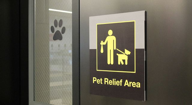Baños para perritos
