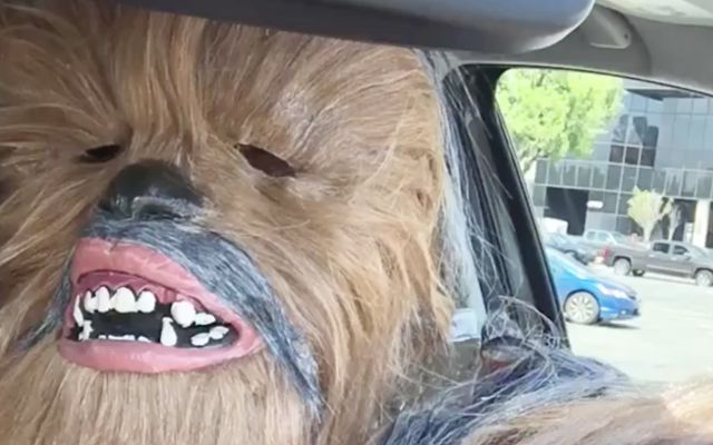 Otro video de Chewbacca se está haciendo viral Otro video de Chewbacca se está haciendo viral