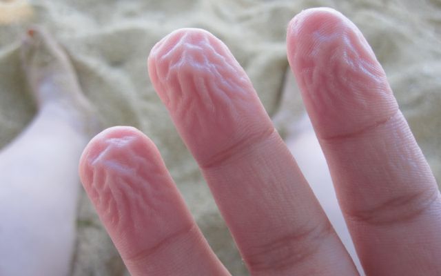 ¿Por qué se arrugan los dedos con el agua?