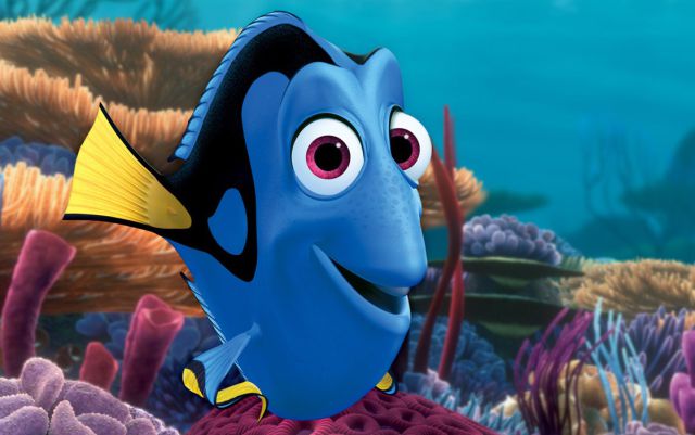 La película ‘Buscando a Dory’, podría ser un riesgo para el pez cirujano azul