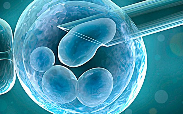 Hoy hace 38 años de que el mundo viera nacer a la primera bebé por fertilización in Vitro
