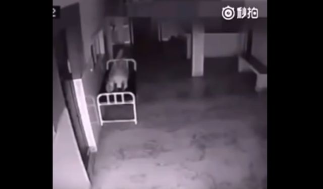 Video capta cuando