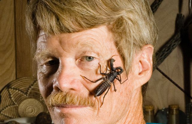 Hombre se deja torturar por insectos