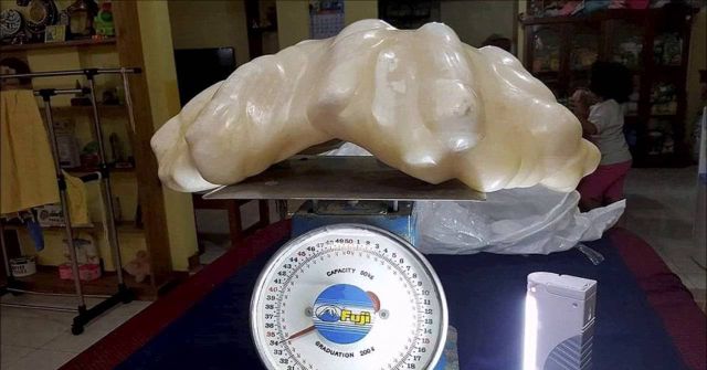 Esta es la perla más grande del mundo