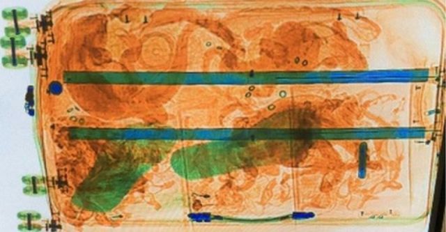 Encuentran algo ilegal en Holanda