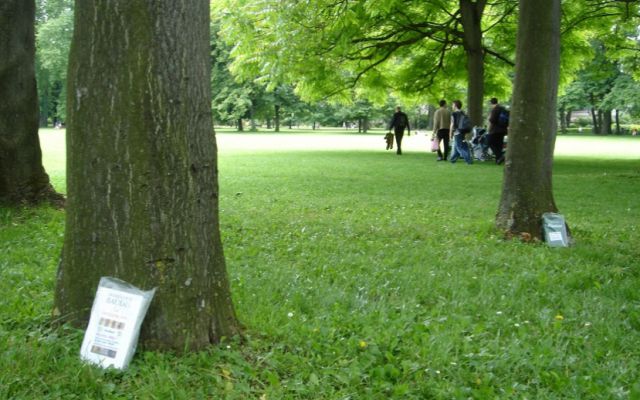 Profesora crea divertida actividad para atrapar libros