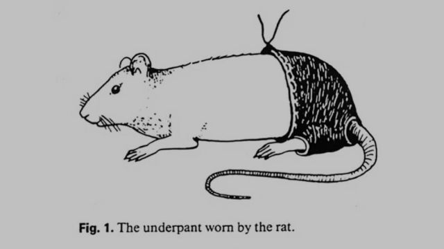 Estos son los ganadores en los Premios IG Nobel 2016