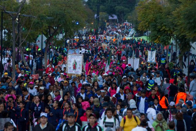 Este año podrían romper el récord de visitantes a la Basílica de Guadalupe