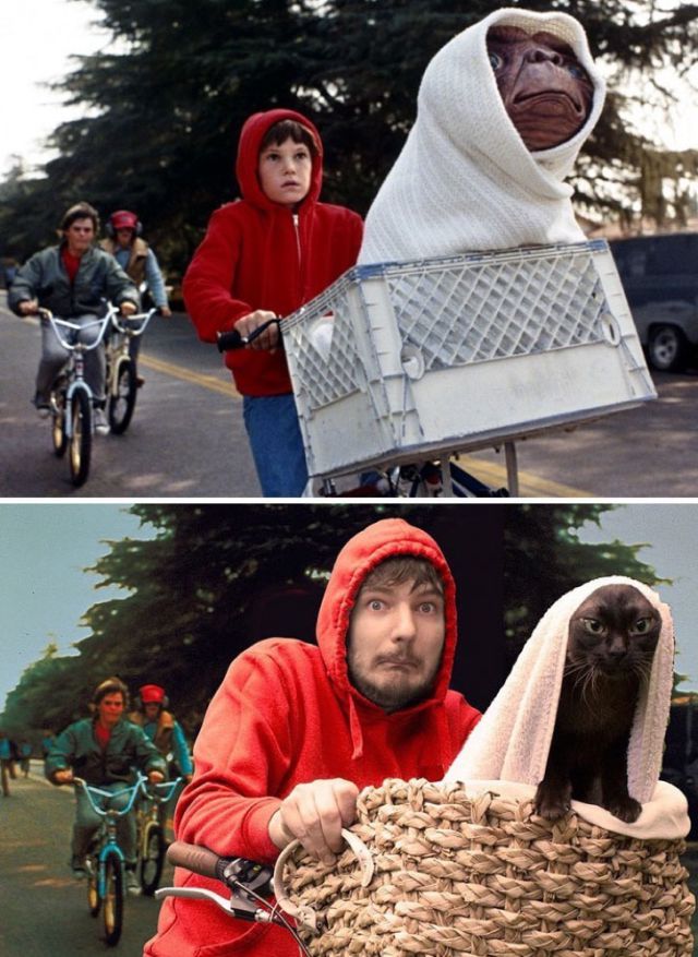 Él decidió recrear escenas de películas con su gato