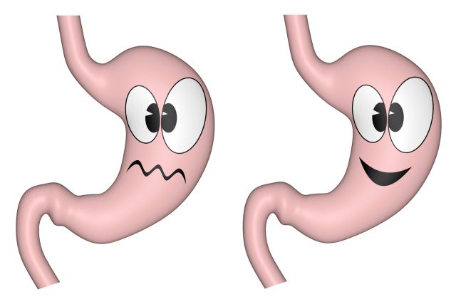 Le abren el estómago ¡para extraerle 25 cepillos de dientes! Le abren el estómago ¡para extraerle 25 cepillos de dientes!