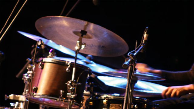 Maple: el perro baterista