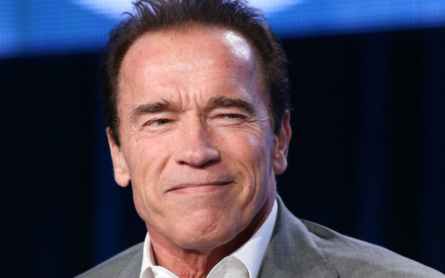 Renuncia Schwarzenegger a un programa