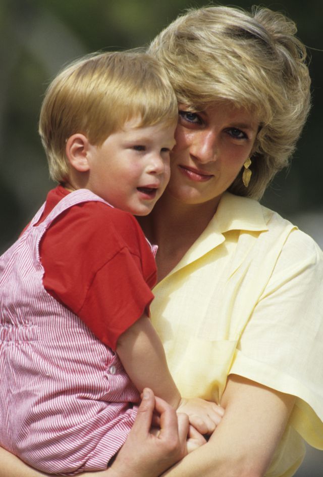 La Princesa Diana ¿reencarnó en un niño de 4 años? La Princesa Diana ¿reencarnó en un niño de 4 años?
