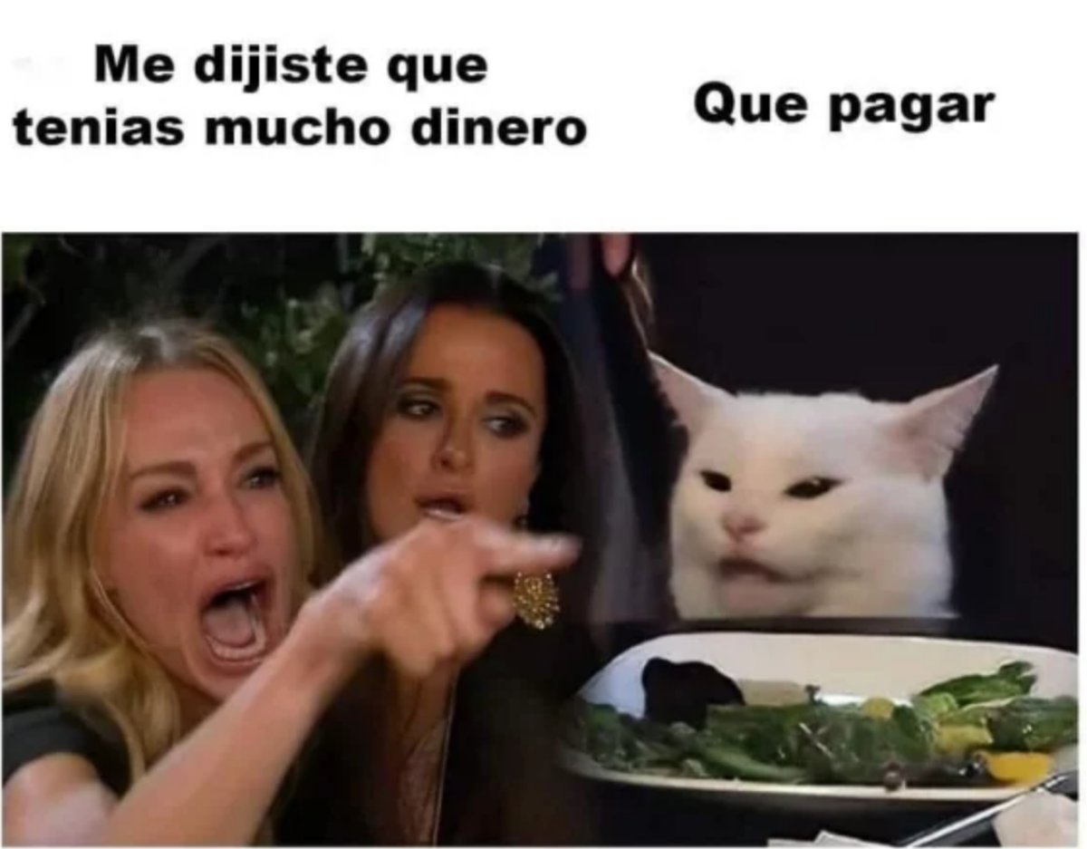 Meme del gato en la mesa y la mujer que le grita lo más viral