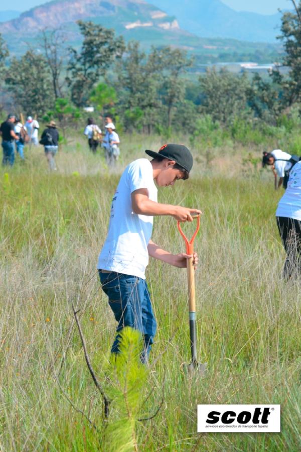 Alexander Acha en la primera jornada de reforestación en GDL