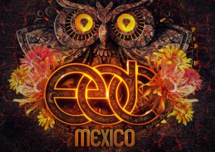 Guía 40 para divertirte en el EDC México