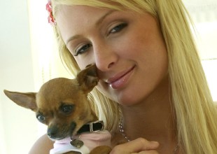 Paris Hilton devastada por la muerte de su mascota