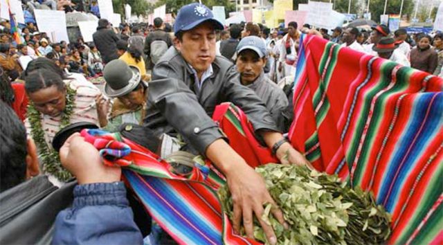 Bolivianos regalarán al papa un pastel de ‘hoja de coca’