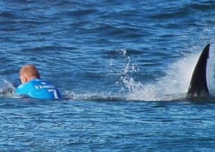 Surfista fue atacado por dos tiburones durante un torneo