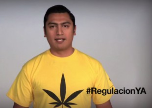 PRD busca legalizar la marihuana