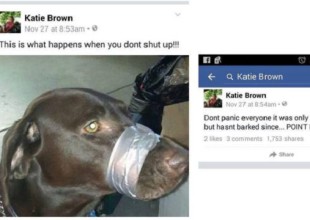 Publica en Facebook la foto de su perro con la boca encintada