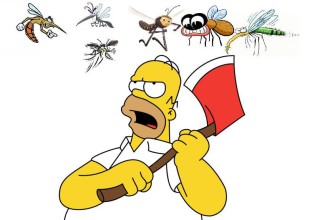 Mosquito vs Hombre
