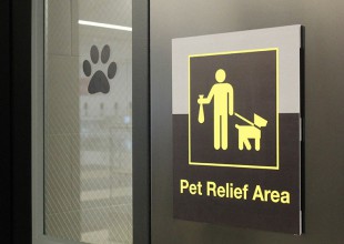Baños para perritos
