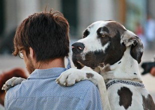 Si en realidad amas a tu perro no lo abraces ¡Entérate porque!