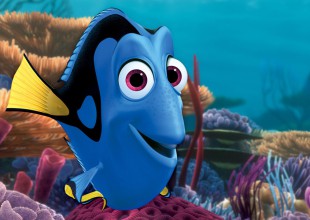 La película ‘Buscando a Dory’, podría ser un riesgo para el pez cirujano azul