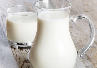 La leche de cucaracha y sus beneficios