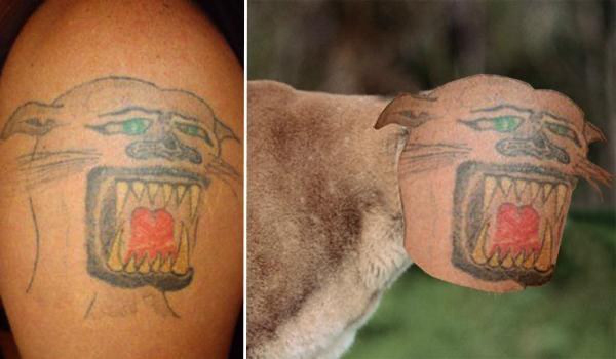 Los Peores Tatuajes Del Mundo Fotogalería Tendencias Los40 México