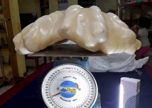 Esta es la perla más grande del mundo