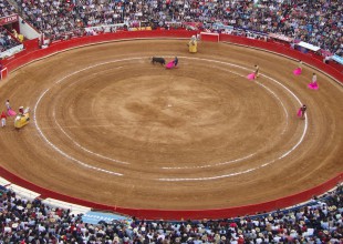 Prohibirán la entrada de niños a corridas de toros en México