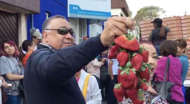 No creerás en cuanto tiempo un michoacano vendió una tonelada de fresas